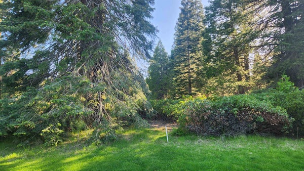 417 DINSMORE DR, WESTWOOD, CA 96137 - Image c2dabaa3fa01d0cd090b6cb1a15caf14/1401280194