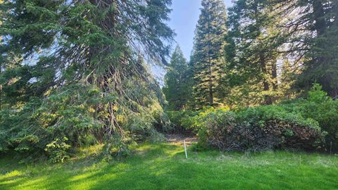 Vacant Land For Sale - 417 Dinsmore Drive Dr<br/> Lake Almanor, CA 96137