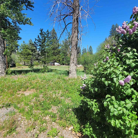 Vacant Land For Sale - 760 Birch Street<br/> Lassen County, Westwood, CA 96137