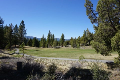 Vacant Land For Sale - 502 Great Spirit<br/> Portola, CA 96122