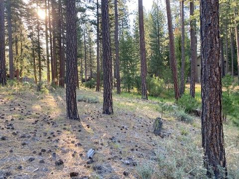 Vacant Land For Sale - 235 Black Bear Trail Trl #VI<br/> Clio, CA 96106