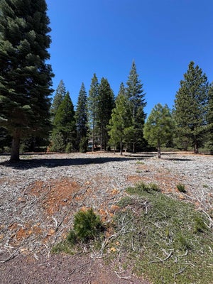 356 DINSMORE DR, WESTWOOD, CA 96137 - Image cb26545073717d8b4afccf6fb44b737c/3250720890