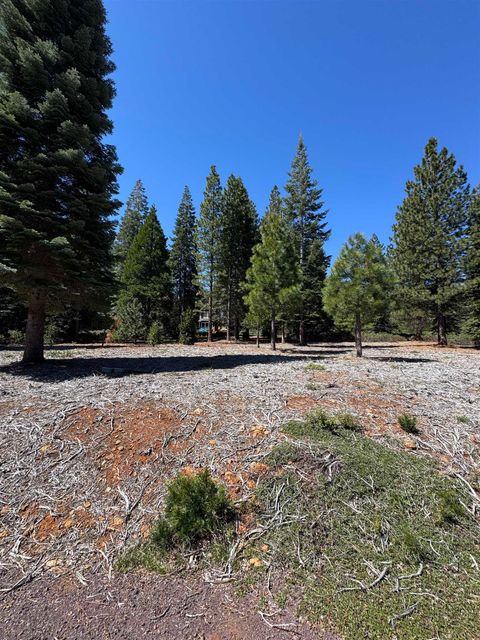 Vacant Land For Sale - 356 Dinsmore Drive Dr<br/> Lake Almanor, CA 96137
