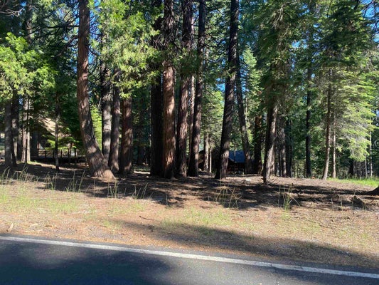 301 BLACKOAK DR, CHESTER, CA 96020 - Image cc1fe7d21bcaf719fc093e8f60cba86f/3787149203