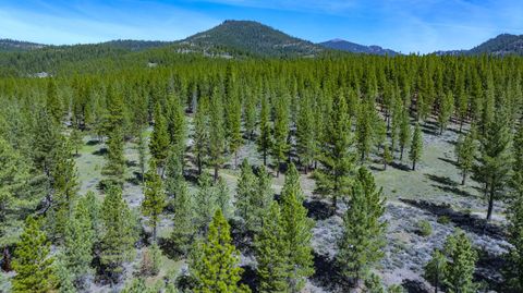 Vacant Land For Sale - 73077 Highway 70<br/> Portola, CA 96122