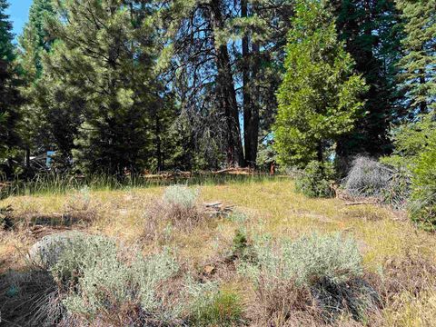 Vacant Land For Sale - 1218 Lynx Road<br/> Plumas County, Lake Almanor, CA 96137