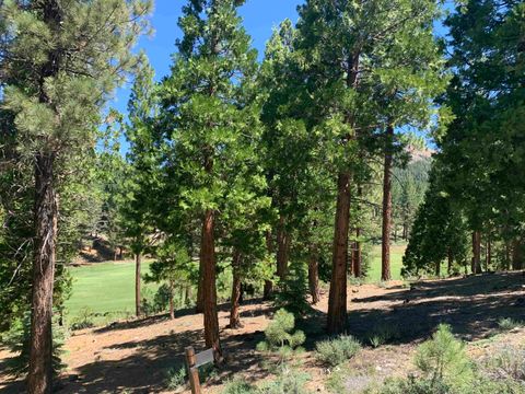 Vacant Land For Sale - 2066 Grizzly Ranch Road Rd<br/> Plumas County, Portola, CA 96122