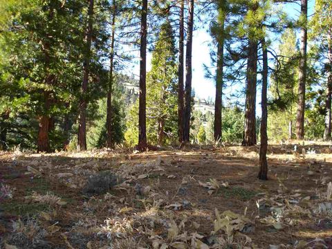 Vacant Land For Sale - 369 Big Grizzly<br/> Plumas County, Portola, CA 96122