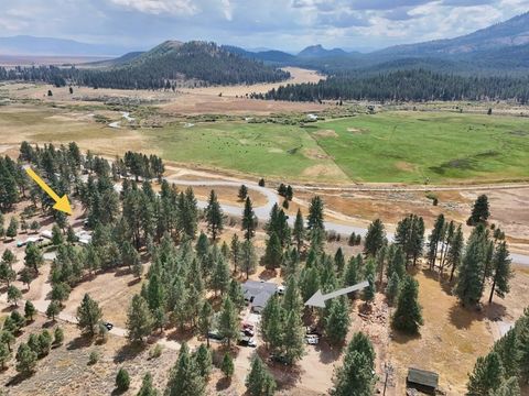 Homes For Sale - 6150 Cemetery Road Rd<br/> Beckwourth, CA 96129