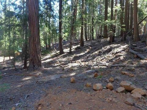 Vacant Land For Sale - 411 Big Meadows Road<br/> Plumas County, Canyon Dam, CA 95923