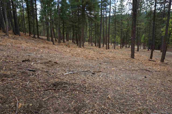 47171 OLD HIGHWAY RD, QUINCY, CA 95971 - Image deb09ef31b1343b36bbf8bd8a71046cc/71670508