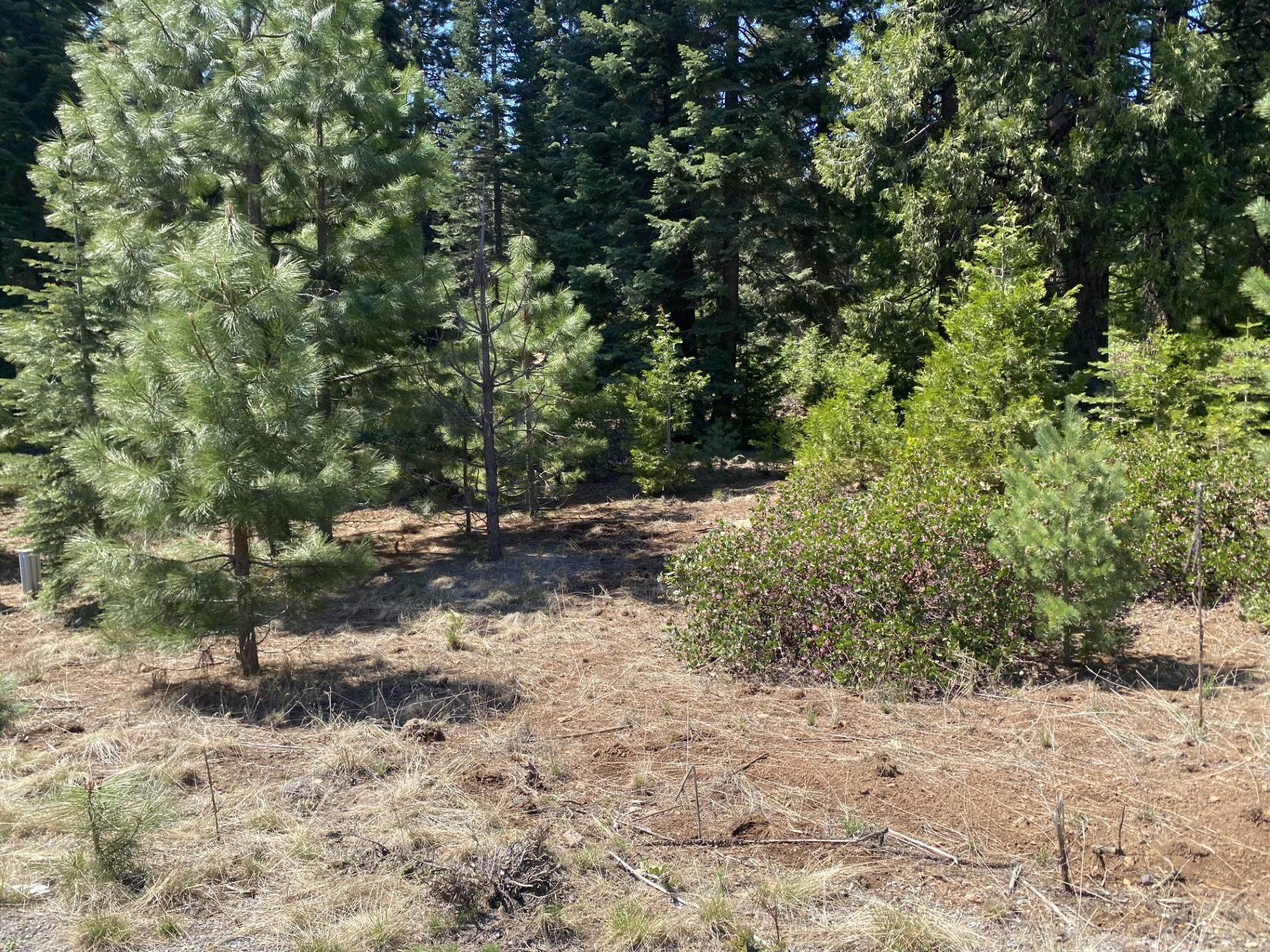 Lake Almanor, California 96137, United States, ,Land,Active,120197