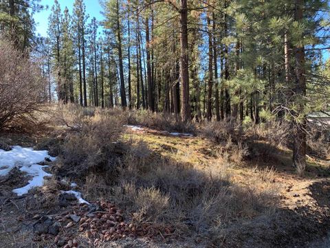 Vacant Land For Sale - 000 E Spruce Avenue<br/> Plumas County, Portola, CA 96122