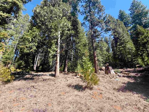 Vacant Land For Sale - 7400 Highway 147<br/> Plumas County, Lake Almanor, CA 96137