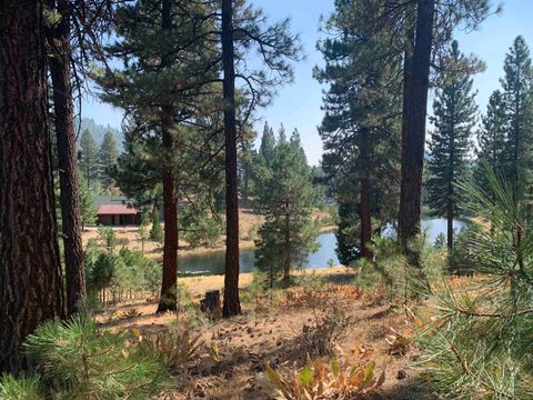 Vacant Land For Sale - 300 Blacktail Ridge<br/> Plumas County, Portola, CA 96122
