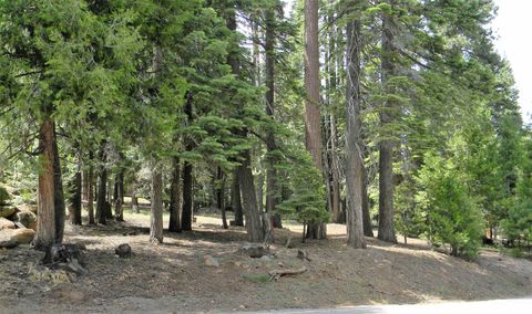 Vacant Land For Sale - 1015 Timber Ridge Road<br/> Lake Almanor, CA 96137