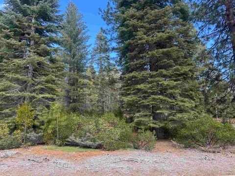 Vacant Land For Sale - 94 Foxglenn Drive Dr<br/> Plumas County, Lake Almanor, CA 96137