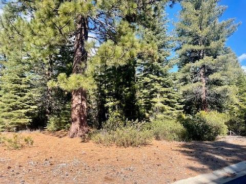 Vacant Land For Sale - 39 Grand Fir Road Rd<br/> Plumas County, Lake Almanor, CA 96137