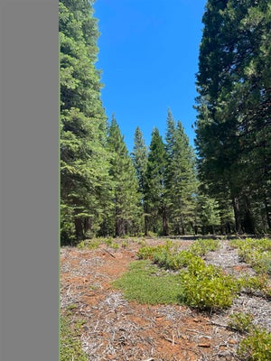105 FOXHEAD DR, WESTWOOD, CA 96137 - Image eb20e061e26c58ca1711dfbceeb26eb6/1884161534