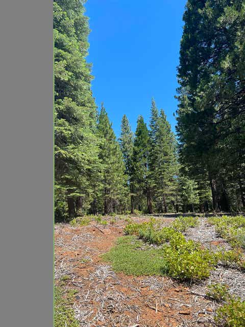Vacant Land For Sale - 105 Fox Head Drive Dr<br/> Lake Almanor, CA 96137