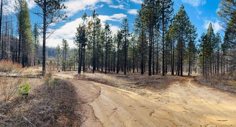 Vacant Land For Sale - 319 Round Valley Road<br/> Greenville, CA 95947