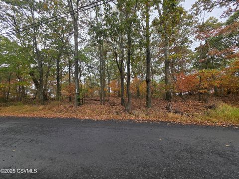 Catawissa 17 500 EVERGREEN Lane Catawissa PA 17820