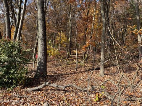 Catawissa 25 SYCAMORE Drive Catawissa PA 17820