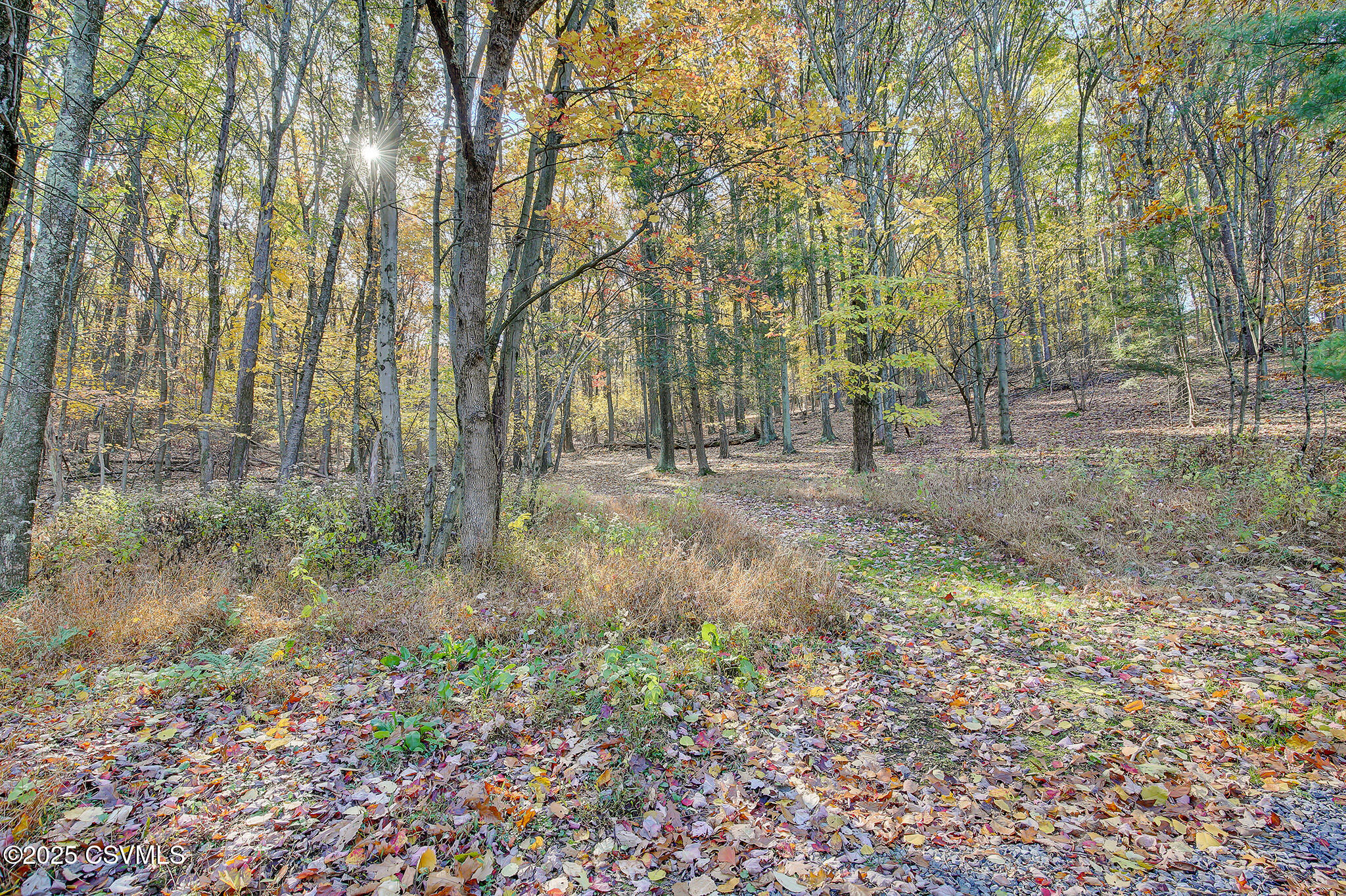 Danville, Pennsylvania 17821, United States, 2 Bedrooms Bedrooms, ,1 BathroomBathrooms,Residential,Active,239501