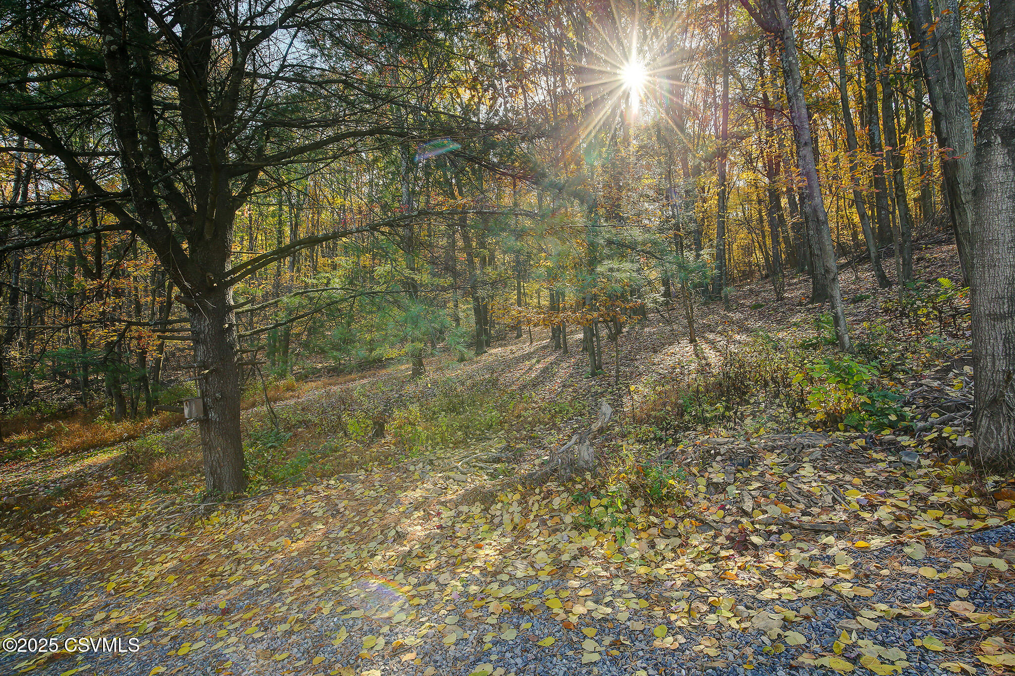 Danville, Pennsylvania 17821, United States, 2 Bedrooms Bedrooms, ,1 BathroomBathrooms,Residential,Active,239501