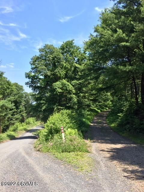 163 EVERGREEN Lane