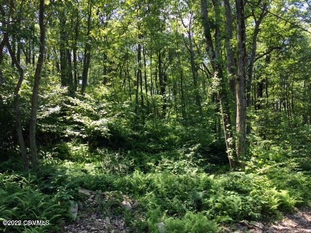 163 EVERGREEN Lane