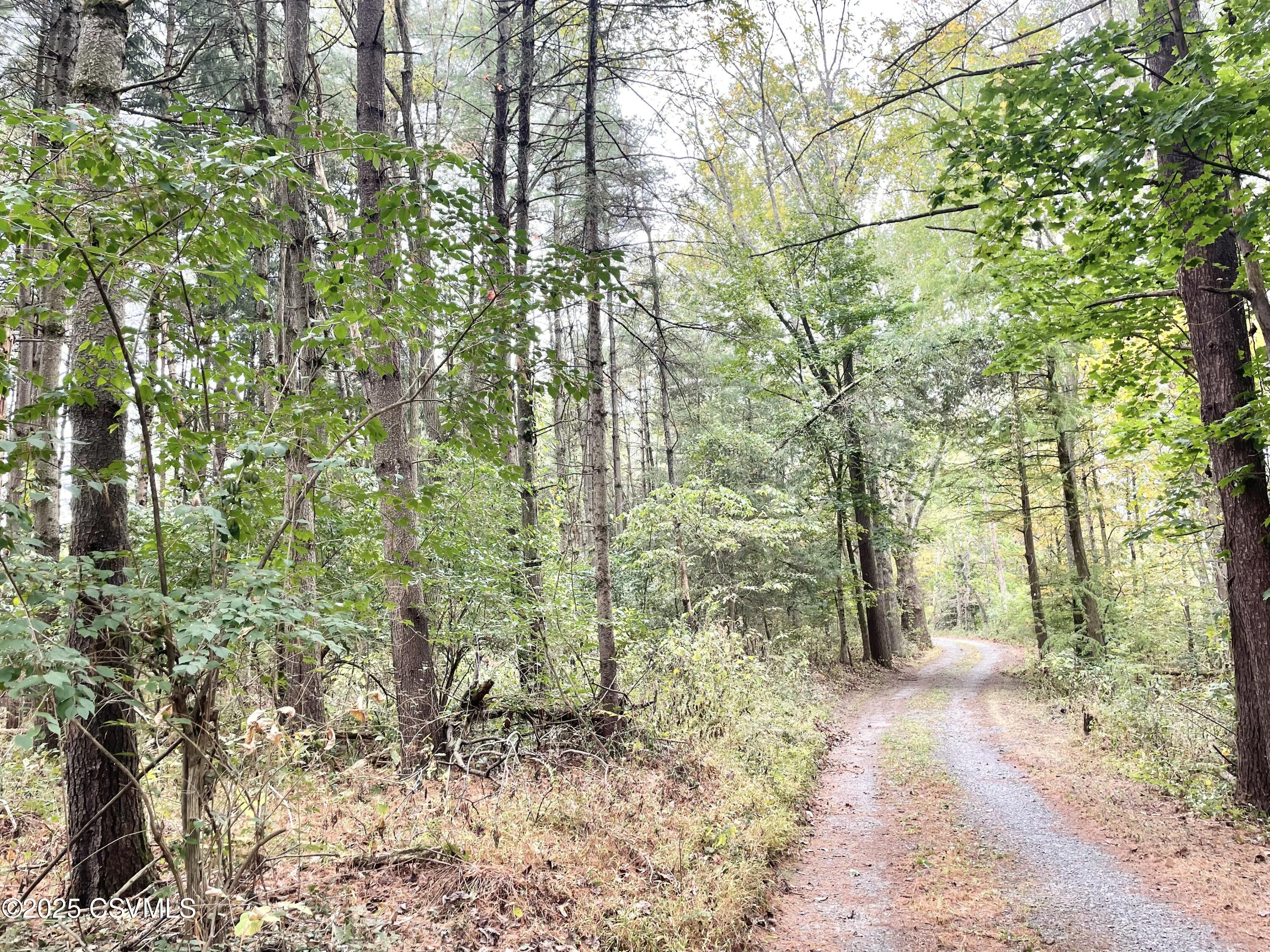 Allenwood, Pennsylvania 17810, United States, 3 Bedrooms Bedrooms, ,2 BathroomsBathrooms,Residential,Active,223989