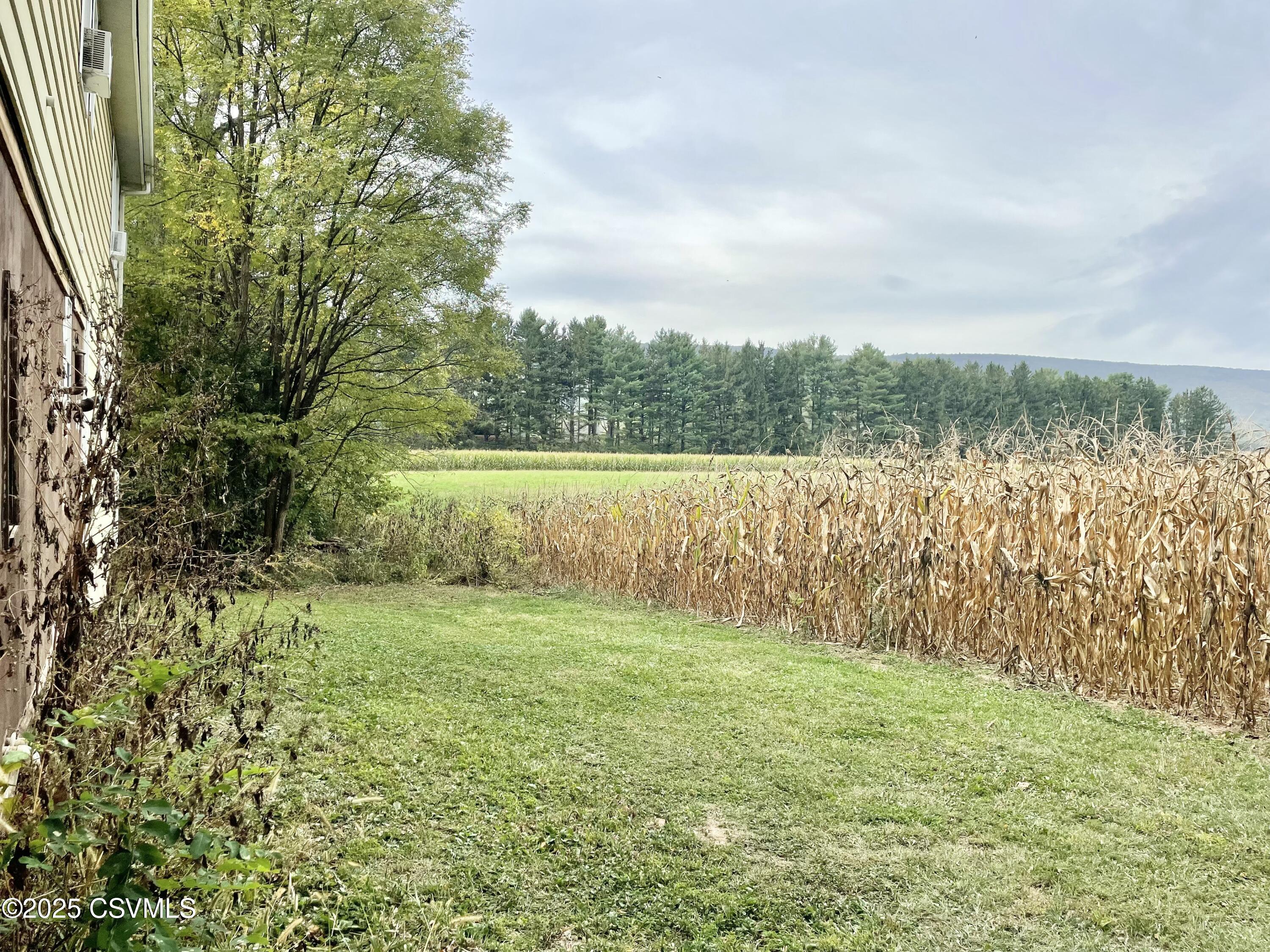 Allenwood, Pennsylvania 17810, United States, 3 Bedrooms Bedrooms, ,2 BathroomsBathrooms,Residential,Active,223989