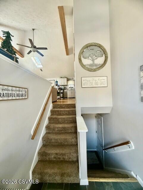 Properties 5 102 CLEAR SPRINGS Court