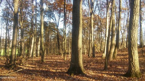 LOT 4 MILROY Road New Columbia PA 17856