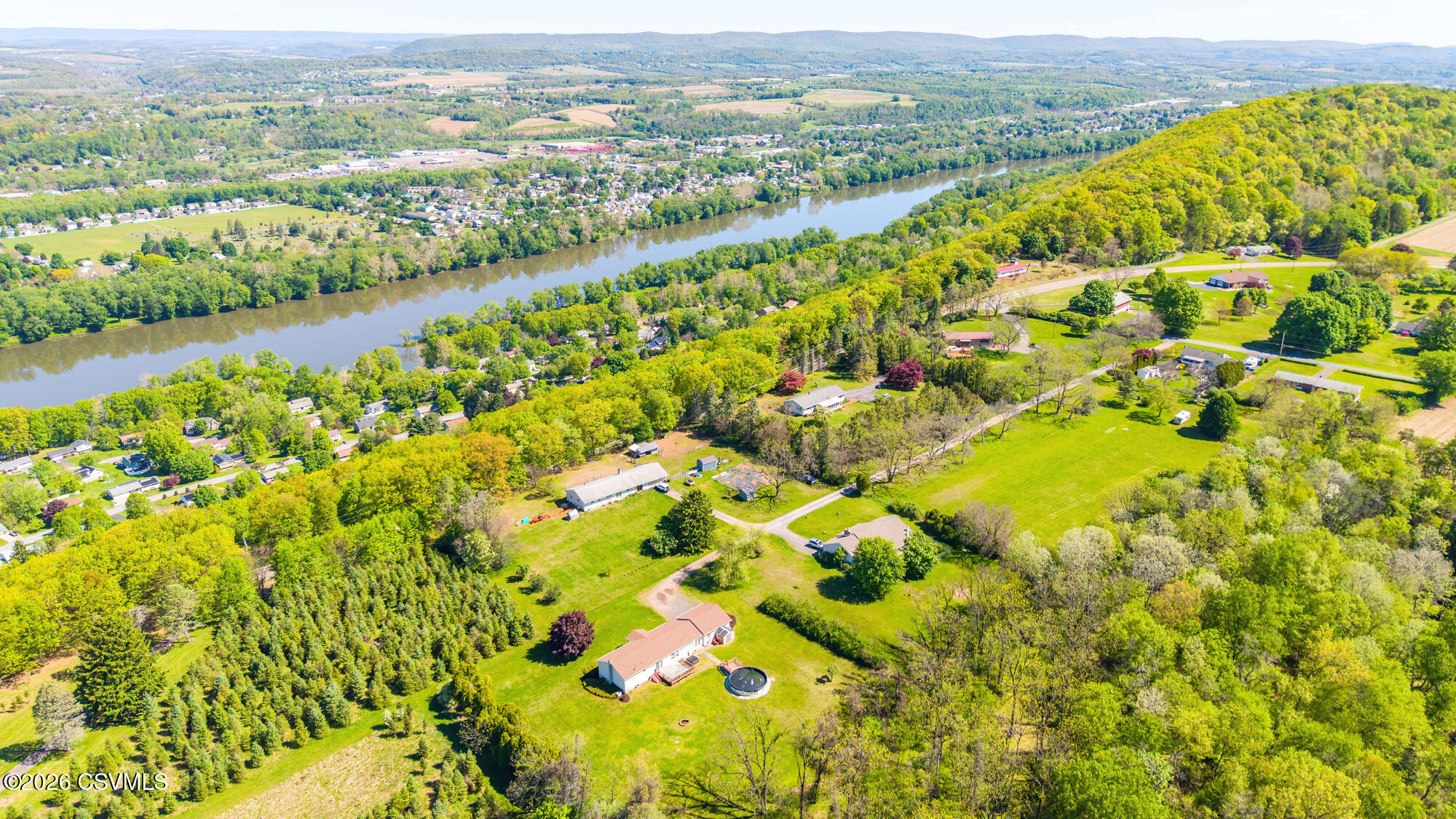 39 saluki drive