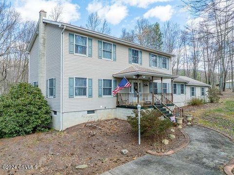 451 STATE ROUTE 93 Route, Orangeville, PA 17859 - MLS#: 20-96673