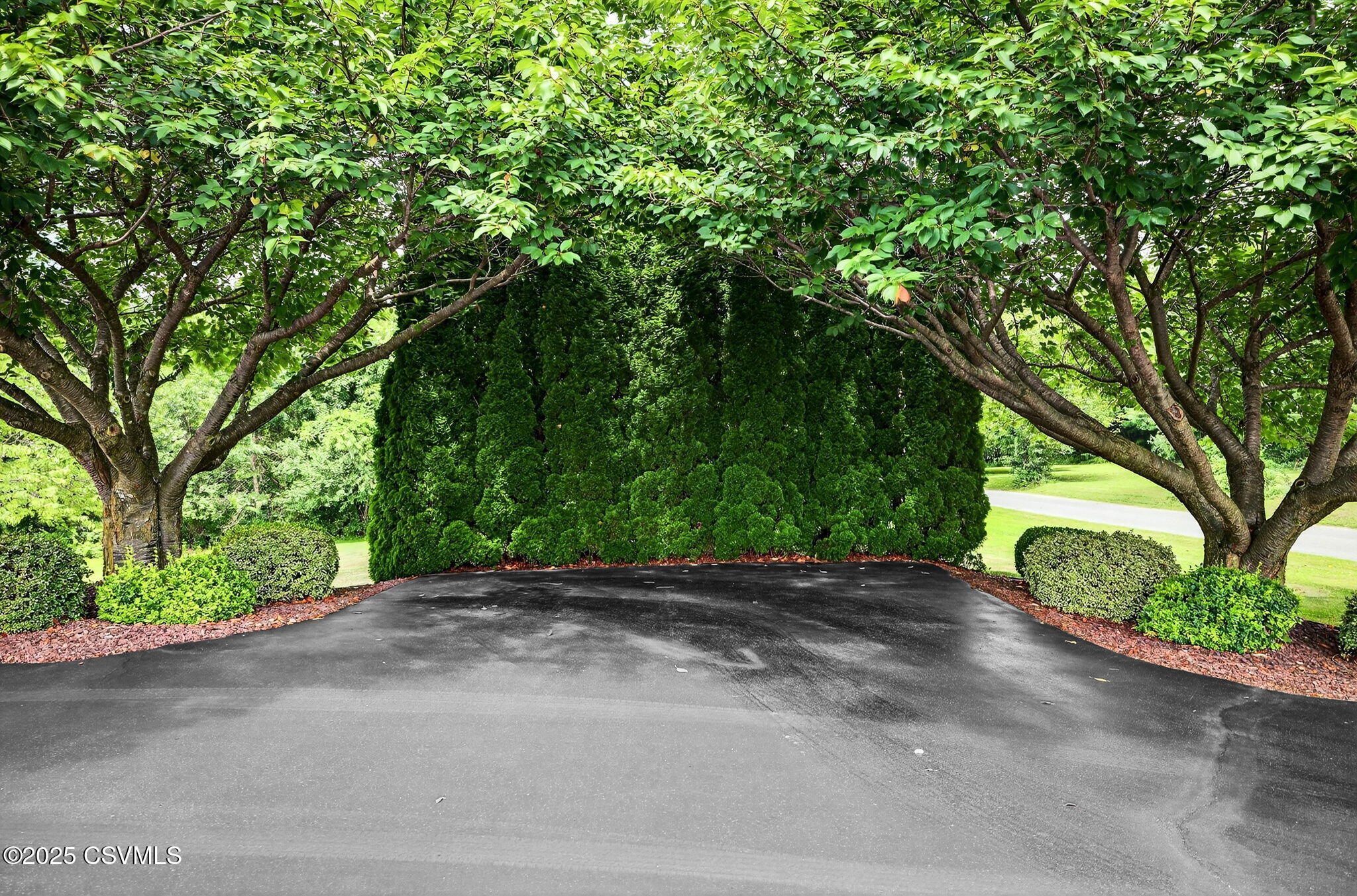 58 KENNEDY Road