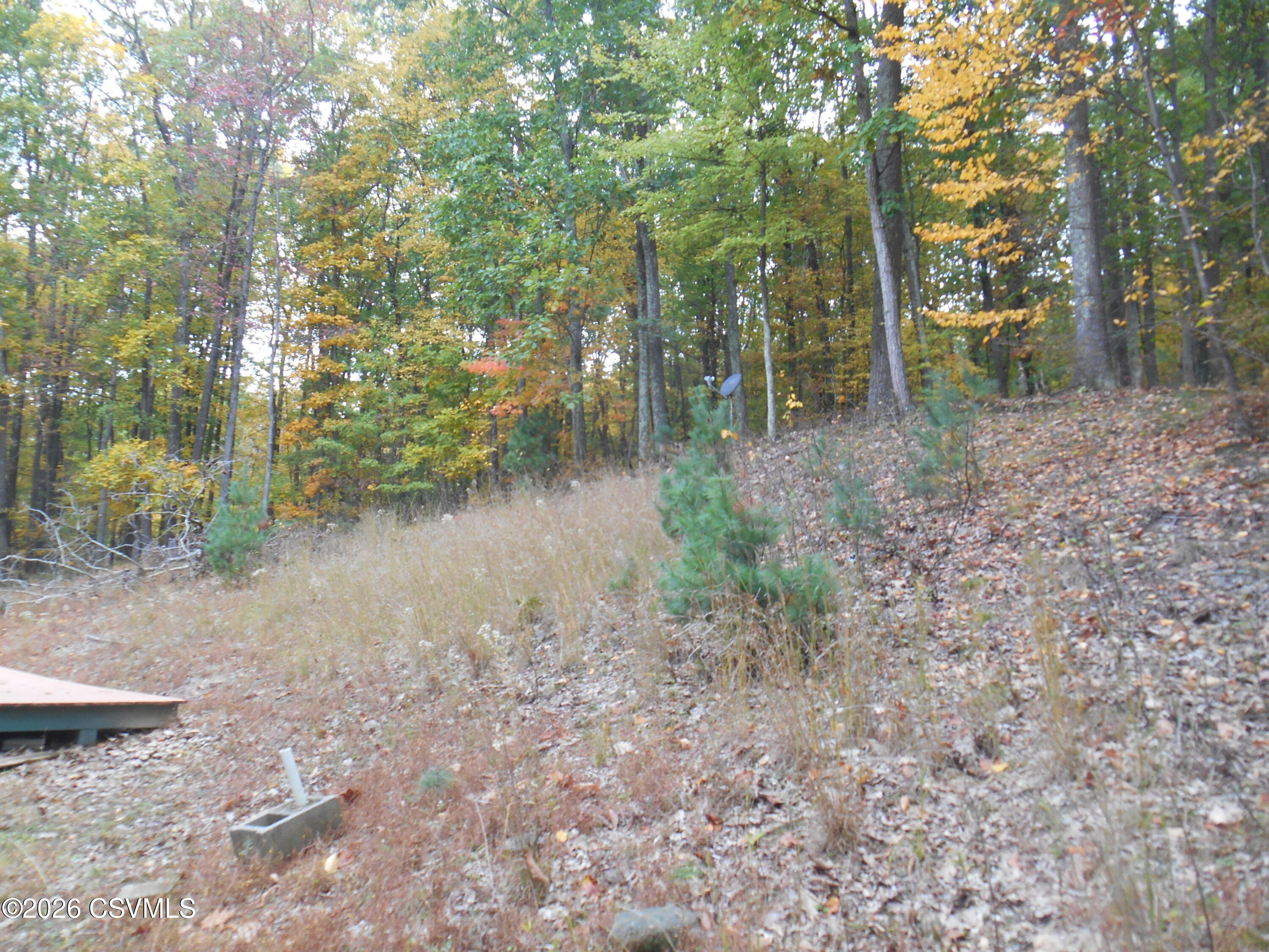 40 huntington mountain drive