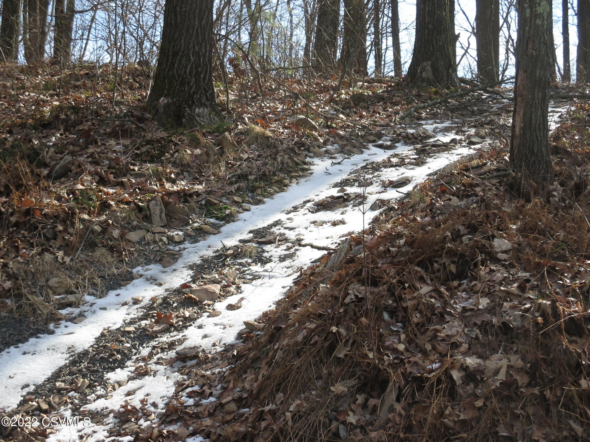 Photo 6 of 9 of LOT #523  WEST EVERGREEN Lane land