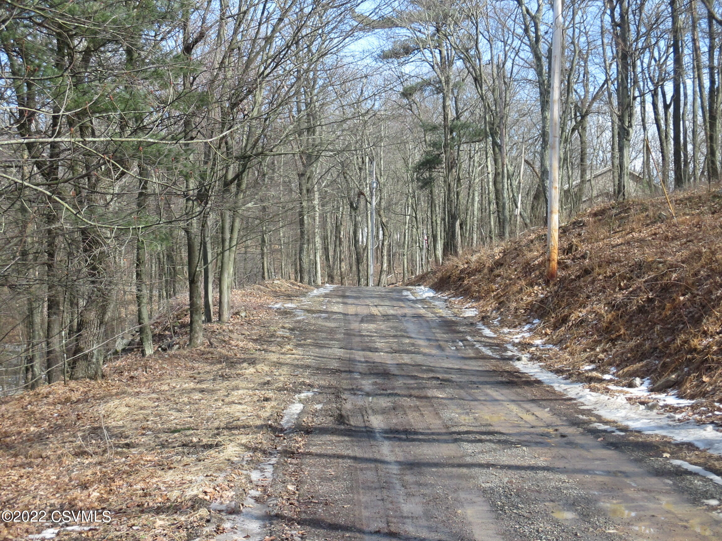 Photo 2 of 9 of LOT #523  WEST EVERGREEN Lane land