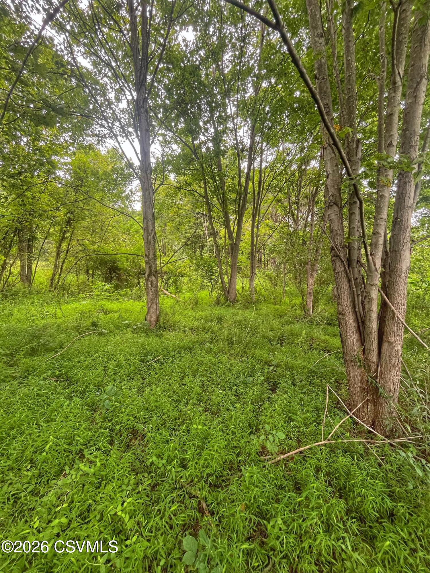 Lot 1 snydertown road