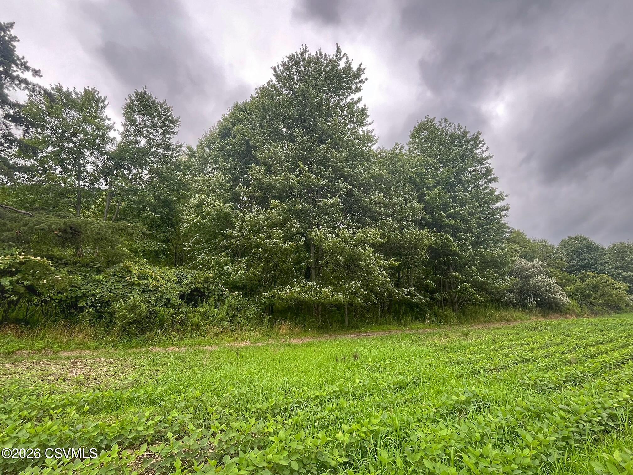 Lot 1 snydertown road