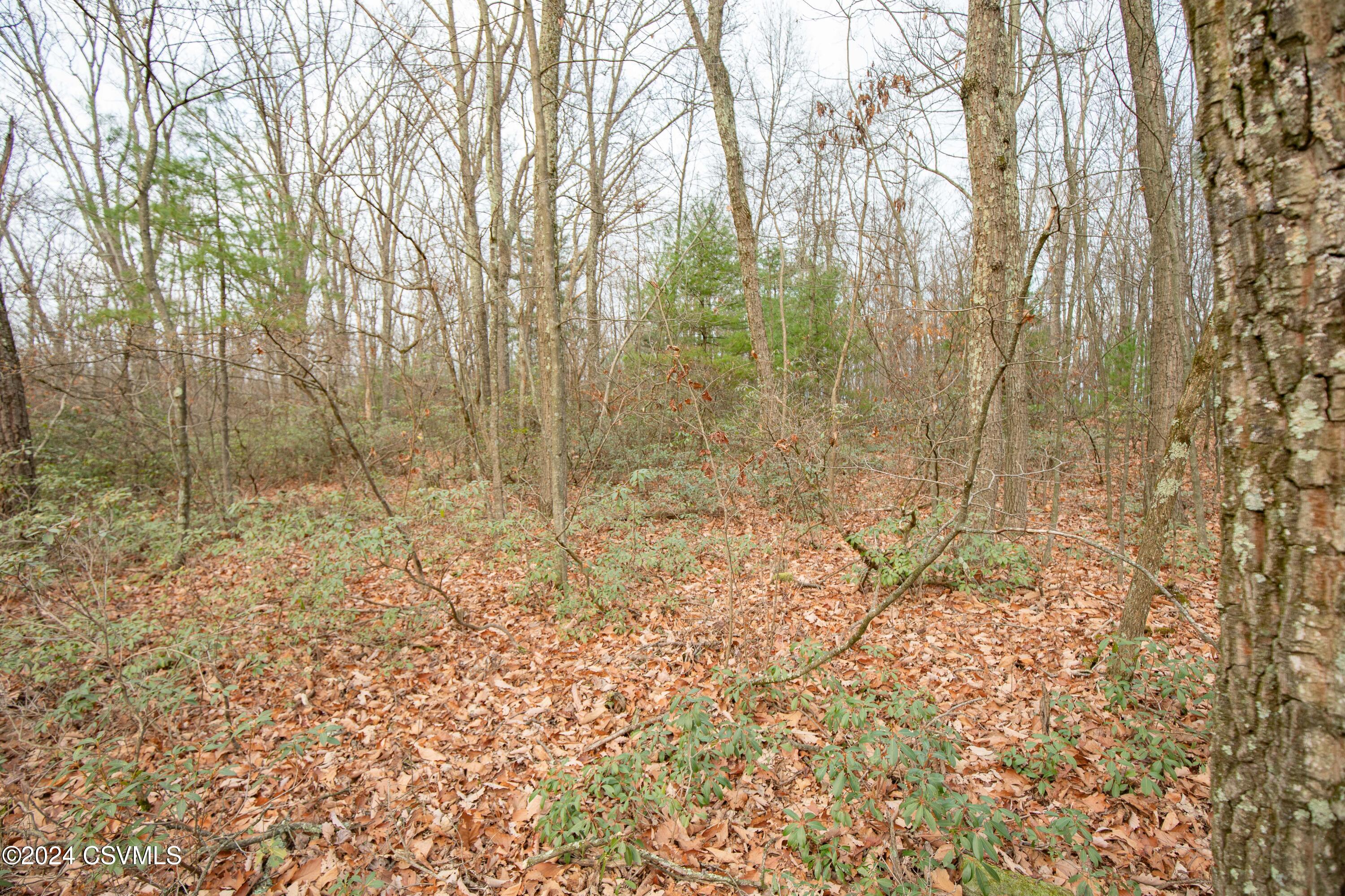 HILLSIDE Road