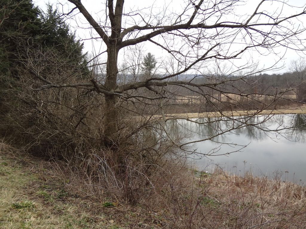 413 Old Tioga Turnpike, Stillwater, PA 17878 MLS 2067028 Listing