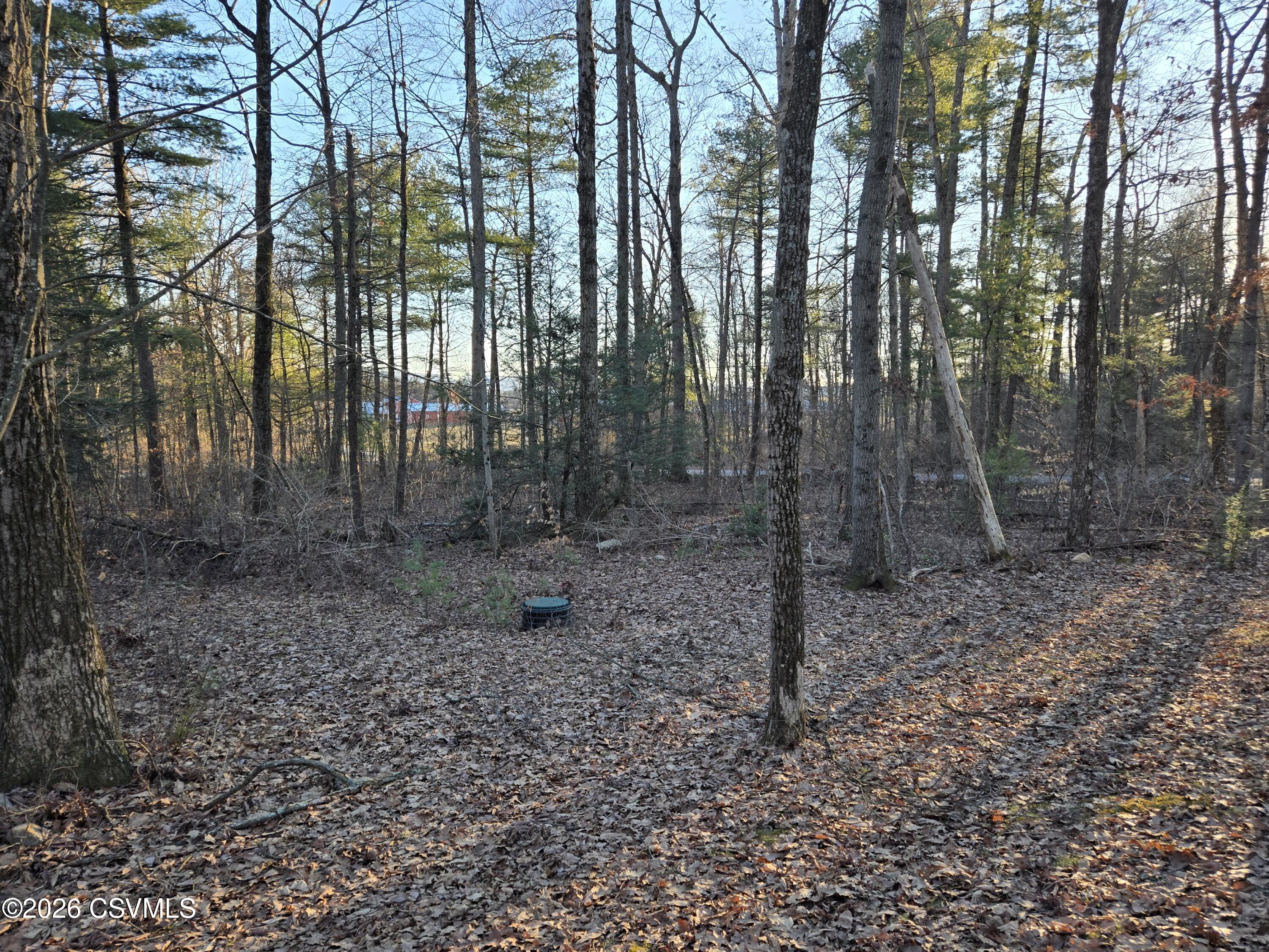 LOT 4 DIEHL Road