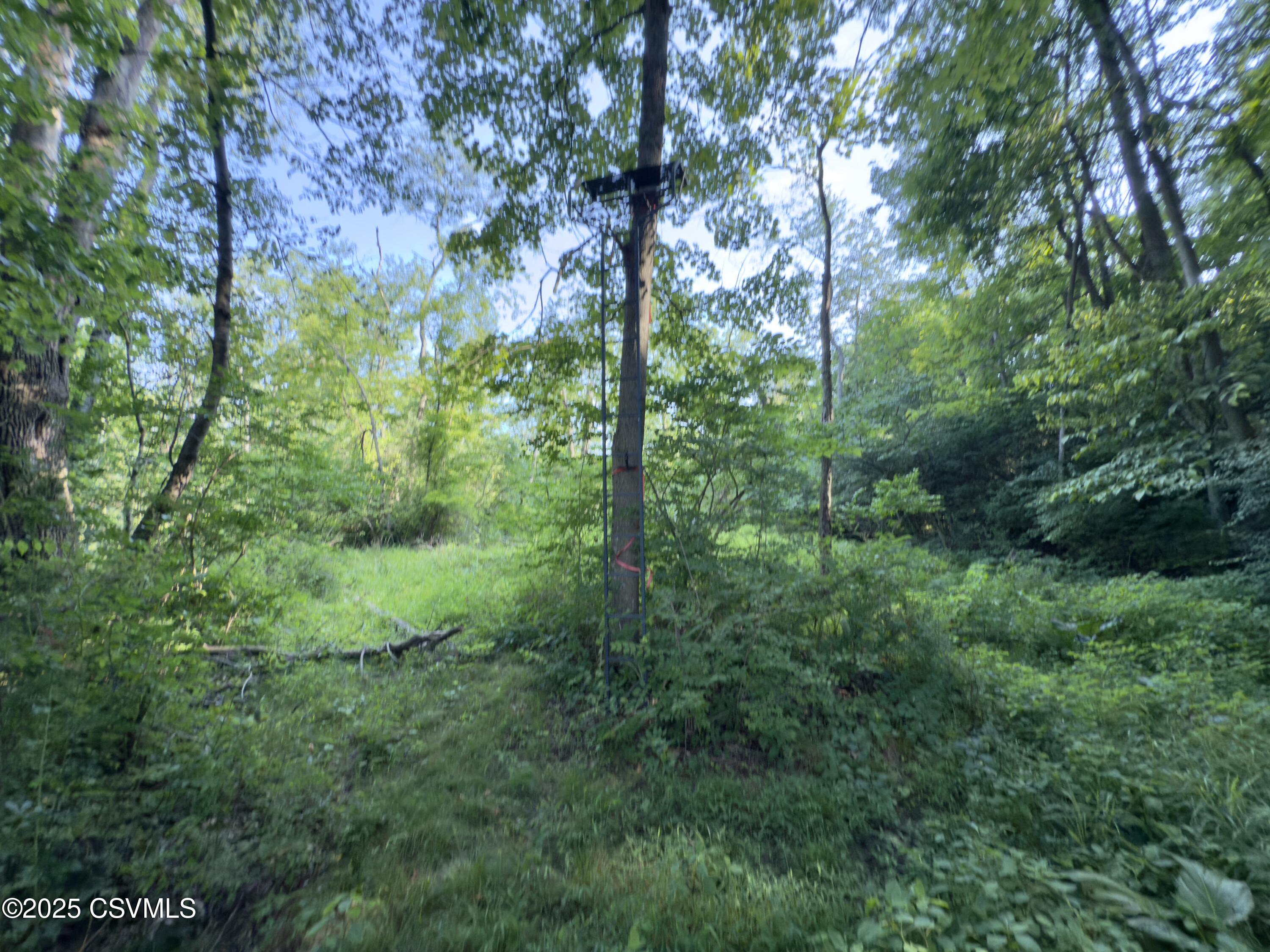 STATE ROUTE 642/JERSEYTOWN Road
