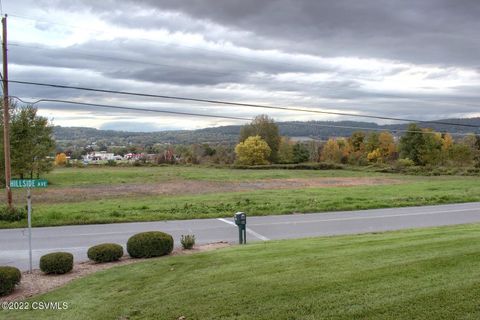 Properties 14 HILLSIDE Avenue Elysburg PA 17824