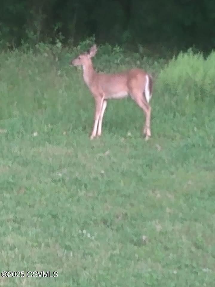 Properties 5 21 STAGE COACH Lane