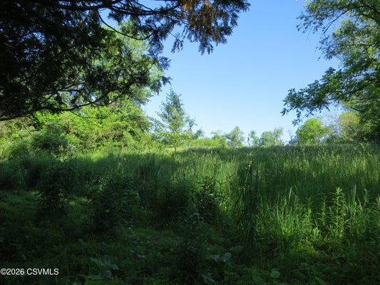 CHAPINS RD, BLOOMSBURG, PA 17815 - Image 73bfd0d4bec49363cc2d7760ee130dcd/3194292590